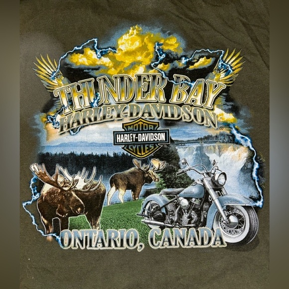 Harley-Davidson Tops - HARLEY DAVIDSON VINTAGE T SHIRT